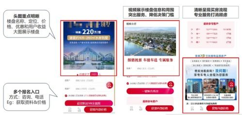 营销宝典 房产家居行业运营解决方案——为开发商及远郊房产项目定制的营销策划全攻略