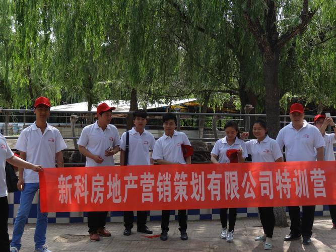 郑州新科房地产营销策划与远房产营销策划 数字化时代下的专业操盘逻辑与实战路径